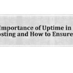 How to Ensure Maximum Uptime for Your Web Hosting