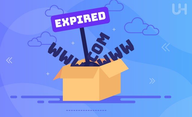 Securing Expired Domains: Risks and Benefits