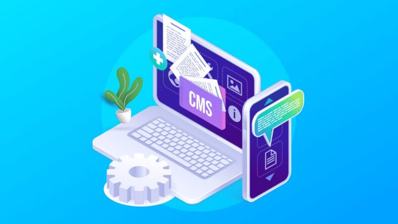 The Role of CMS in Web Development